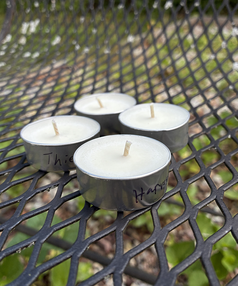Tasters (4-Pack of Tealights)