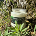 The Forest At Play